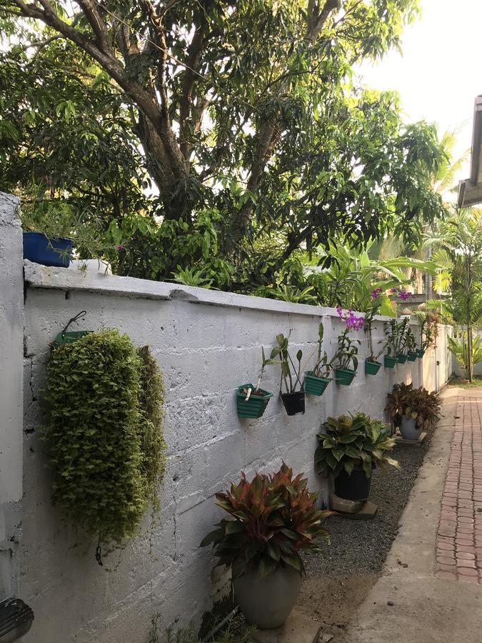 Pinidiya Resort Anuradhapura Exterior photo